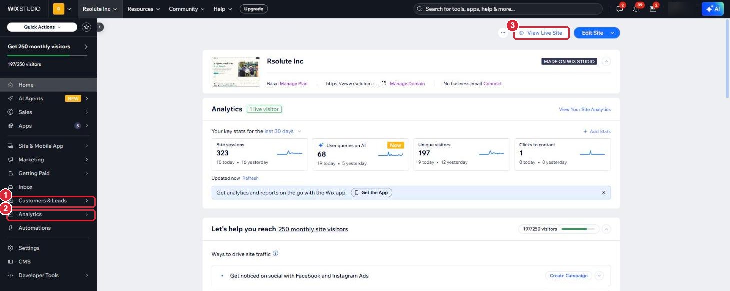 The Rsolute Inc Wix dashboard home page, with the Customers and Leads and Analytics menu items and the View Live Site button marked